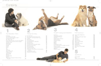 Dog Manual