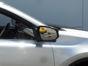 How to replace a car door mirror