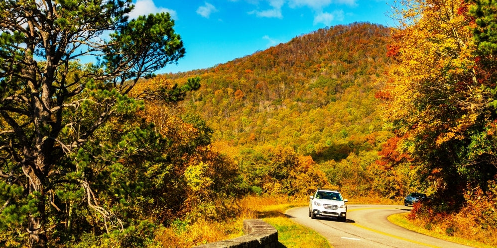 Driving through scenic autumn scene