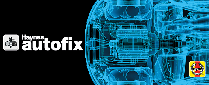 How to use AutoFix from Haynes