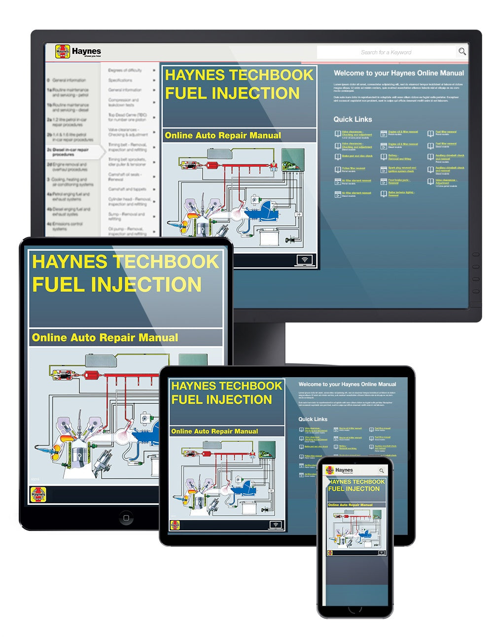 Fuel Injection 1978-1985 Haynes Online Techbook