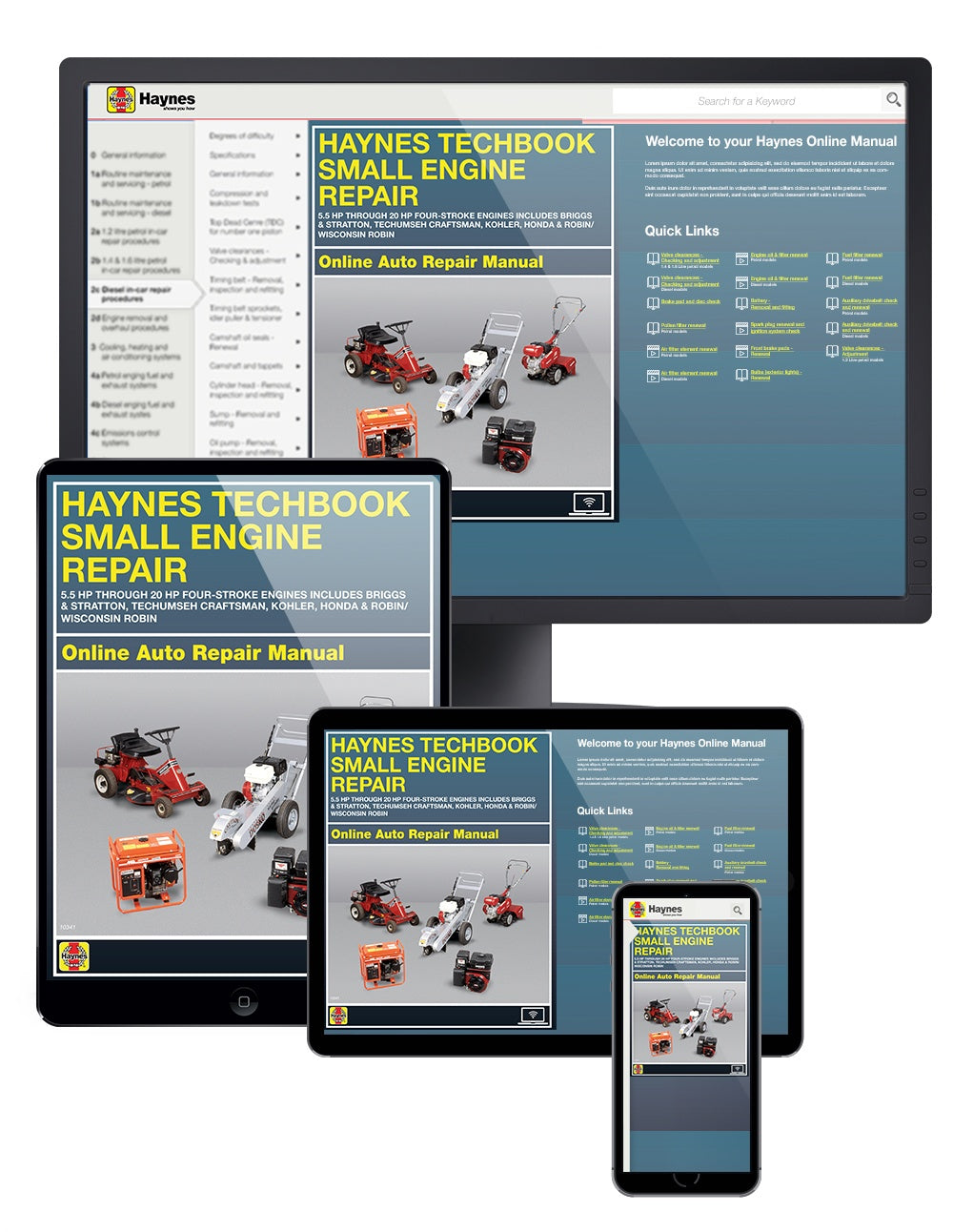 Small Engine Repair 5.5 HP through 20 HP Haynes Online Techbook ...
