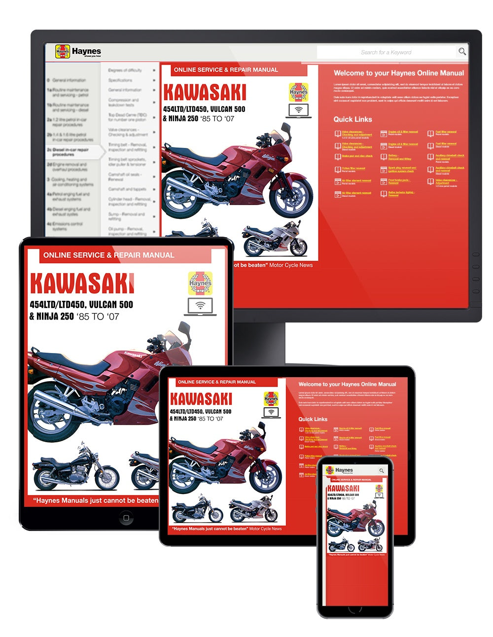 Kawasaki 454LTD/LTD450, Vulcan 500 & Ninja 250 (85 - 07) Haynes Repair Manual