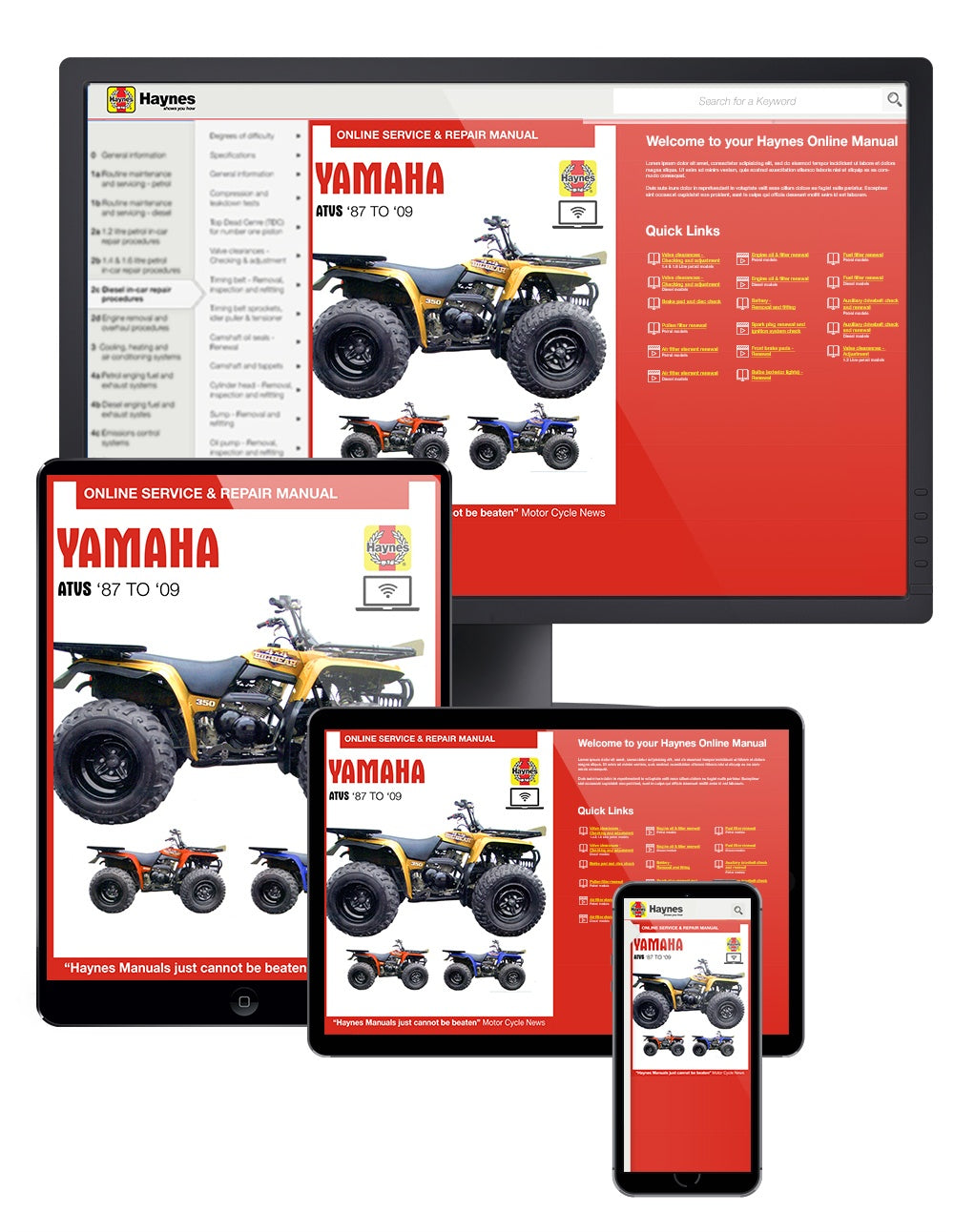 Yamaha ATVs (87 - 09) Haynes Repair Manual