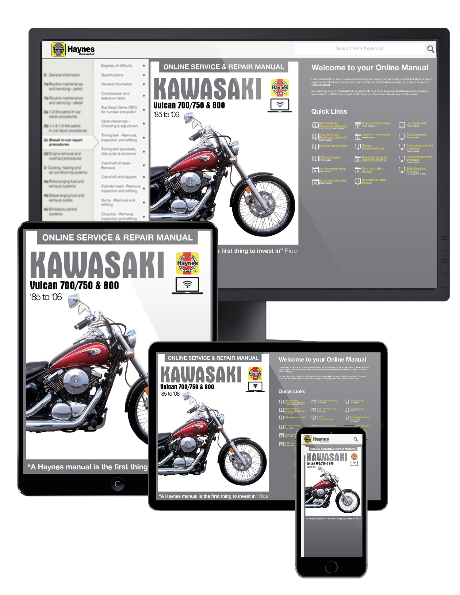 Kawasaki Vulcan 700/750 & 800 (85 - 06) Haynes Repair Manual