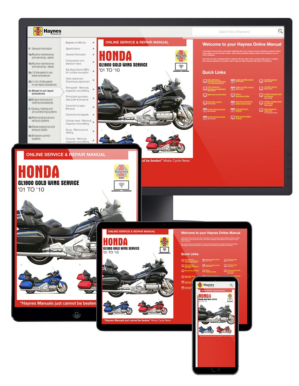 Ahlstrand: Honda GL 1800 Gold Wing Wartung Reparatur Abläufe Handgriffe Abmessun