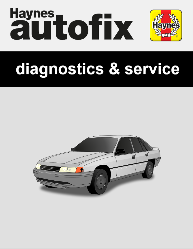 Holden Commodore (VP) from 1991 to 1993