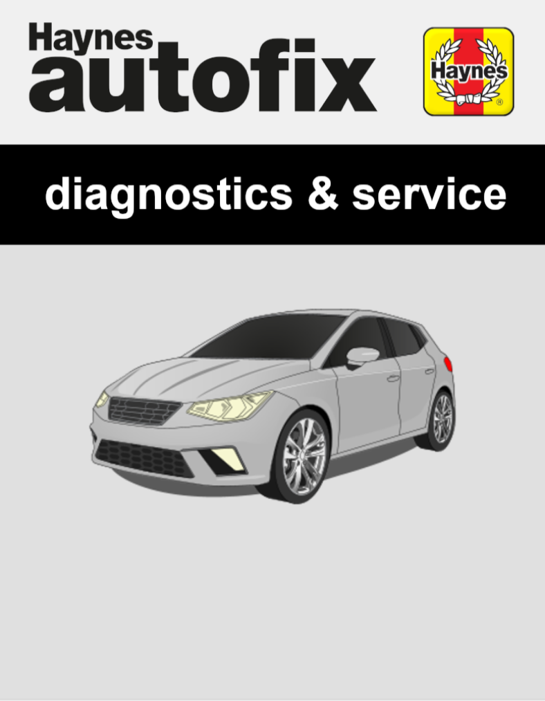 Seat Ibiza (KJ1) from 2019 to 2024