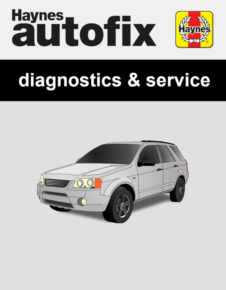 Ford Territory (SX, SY) from 2003 to 2011