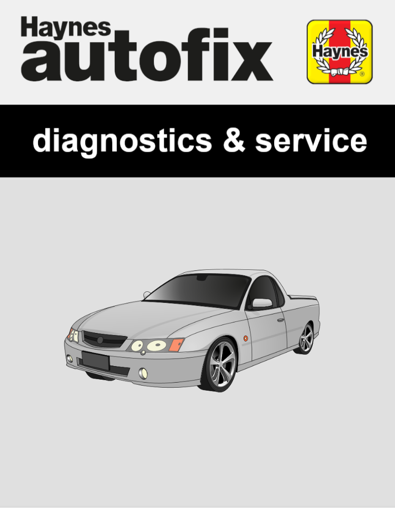 Holden Ute (VY) from 2002 to 2004