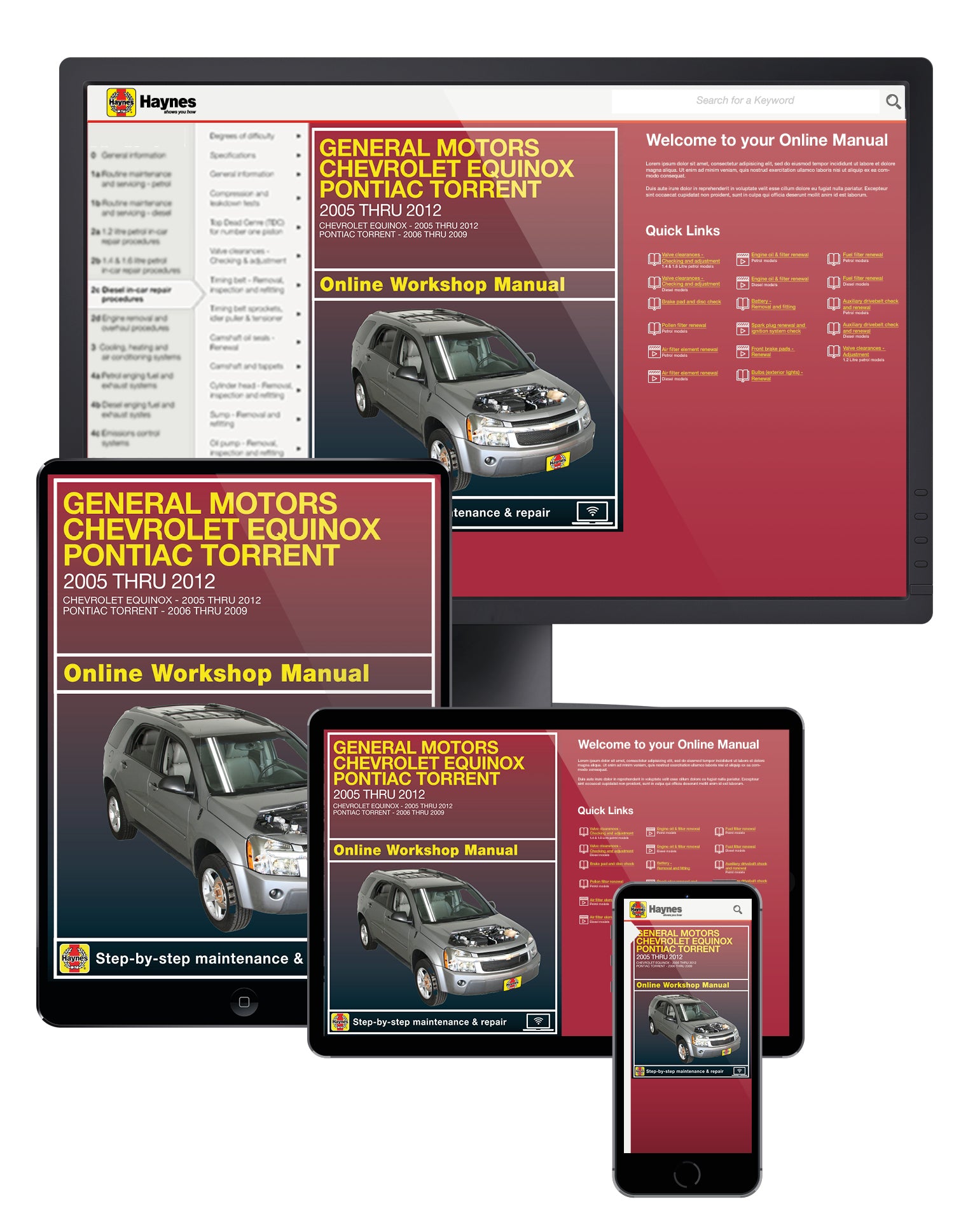 Chevrolet Equinox (05-17), GMC Terrain (10-17) & Pontiac Torrent (06-09) Haynes Online Manual