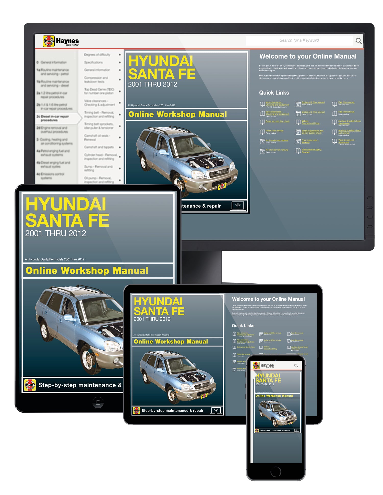 Hyundai Santa Fe (2001-2012) Haynes Repair Manual (USA)