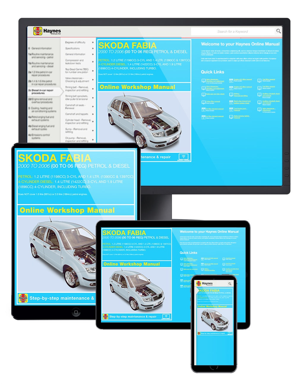 Skoda Fabia Petrol & Diesel (00 - 06) Haynes Repair Manual