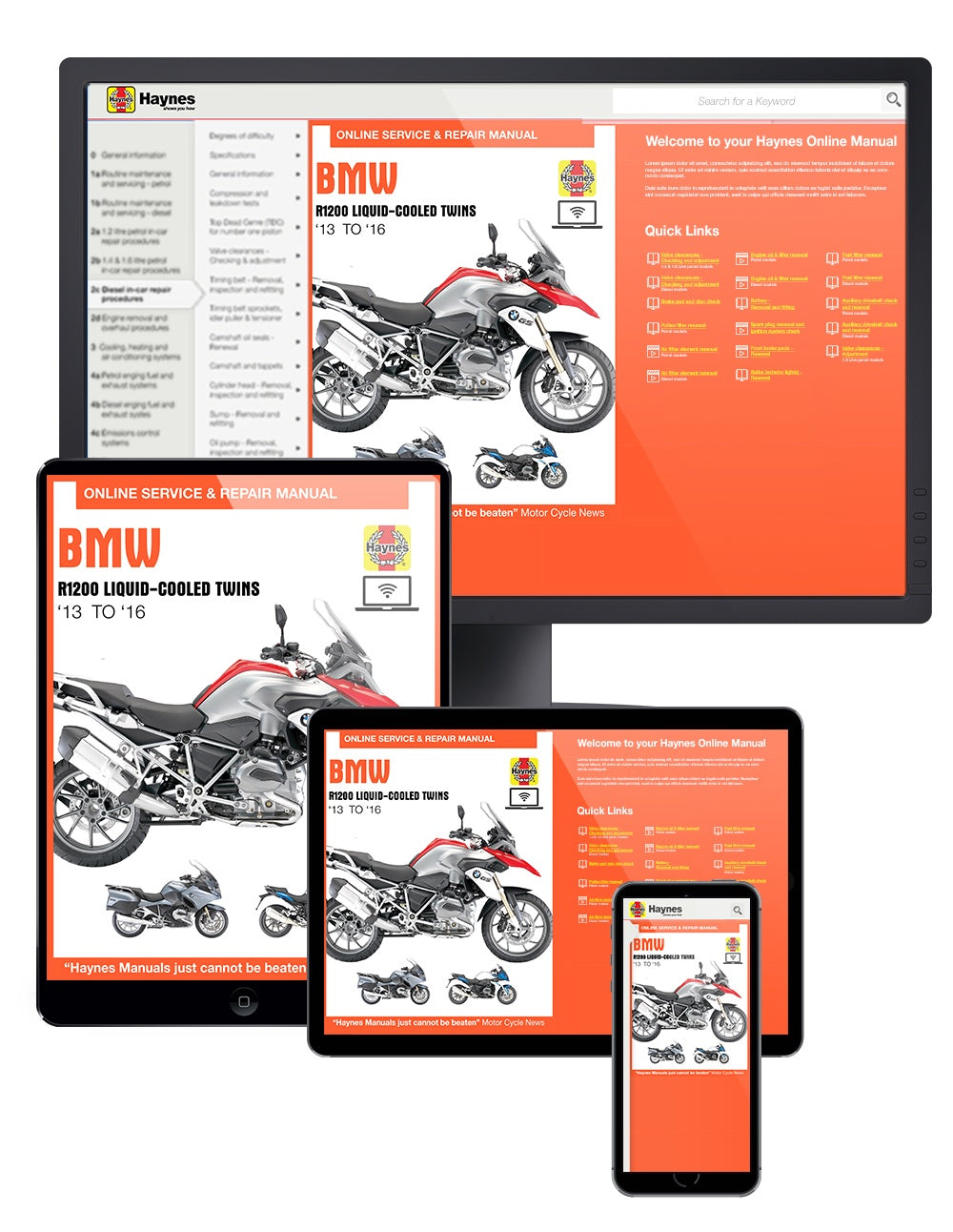 BMW R1200 dohc liquid-cooled Twins (13 - 16) Haynes Repair Manual