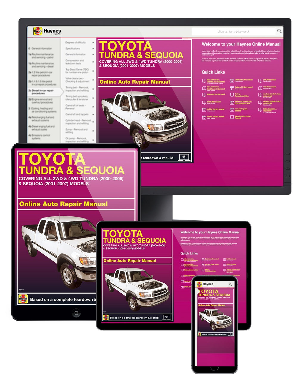Toyota Tundra 2WD & 4WD (2000-2006) & Sequoia (2001-2007) Haynes Repair Manual (USA)