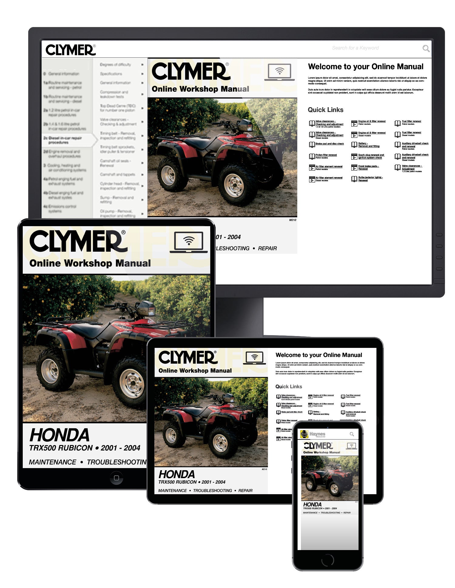 Honda TRX500 Rubicon Series ATV (2001-2004) Service Repair Manual