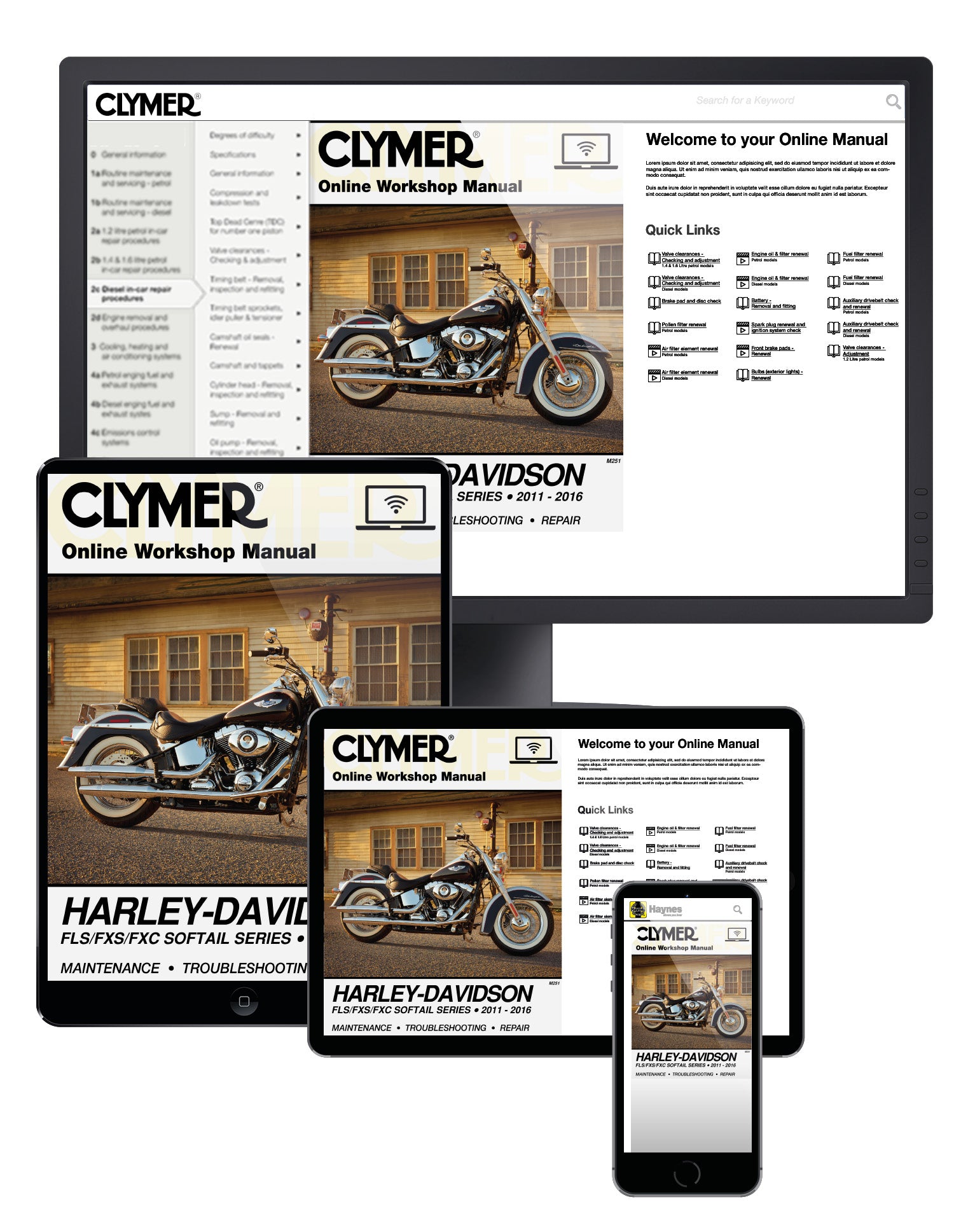 Harley-Davidson FLS/FXS/FXC Softail Series Motorcycle (2011