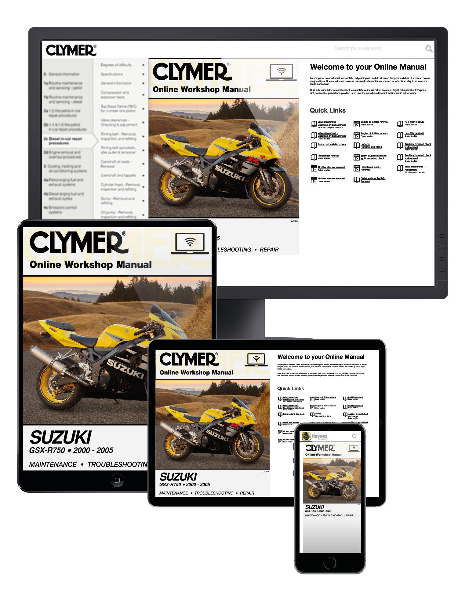 Suzuki GSX-R750 (2000-2005)