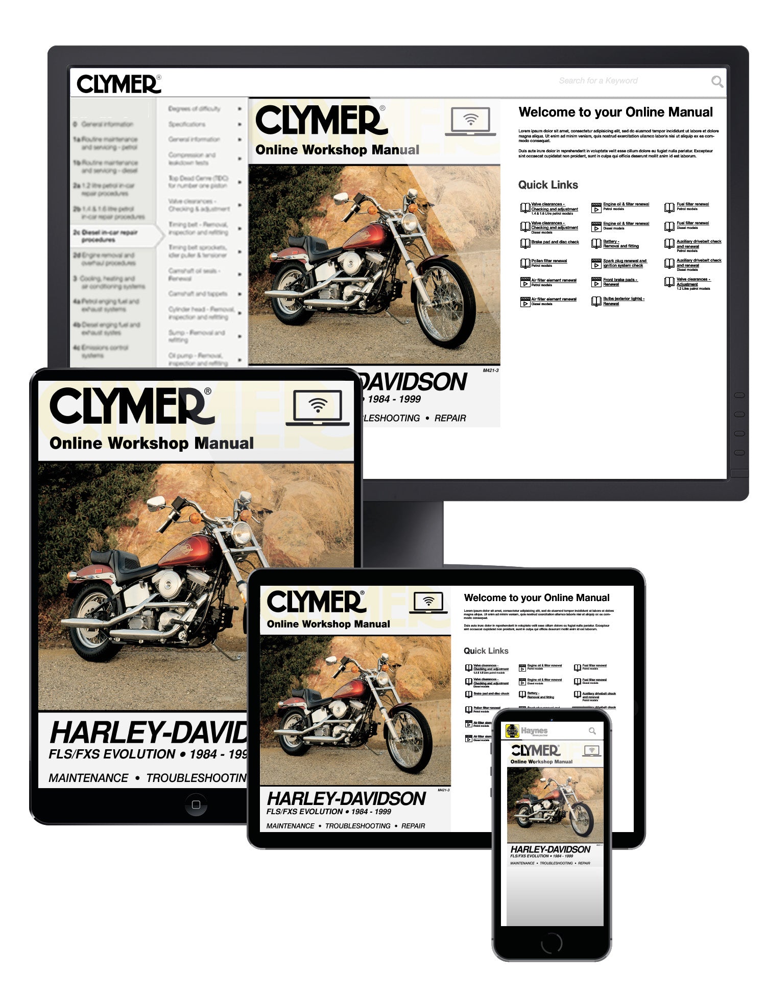 Harley-Davidson FLS-FXS Evolution, Evo Softail, Fat Boy (1984-1999