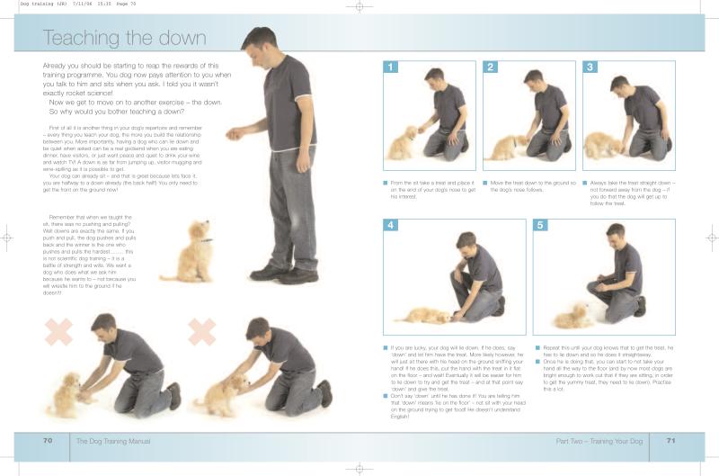 Dog Manual