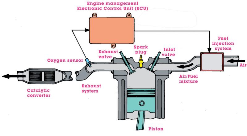 Women's Car DIY Manual
