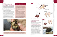Sheep Manual