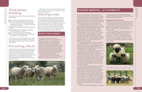 Sheep Manual