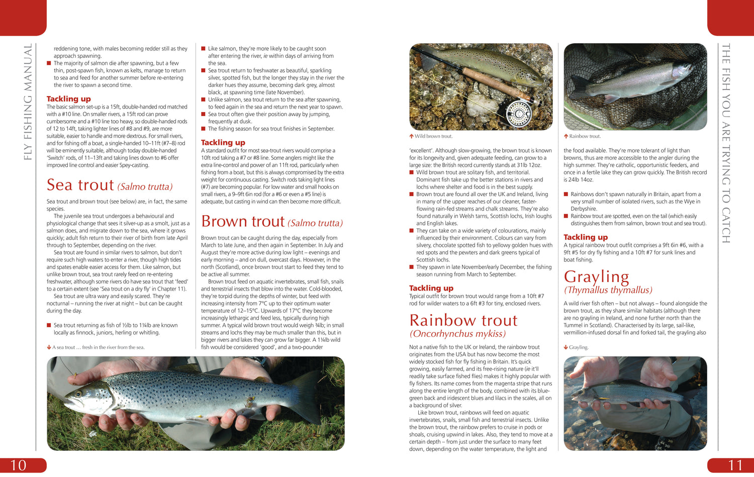 The Fly Fishing Manual