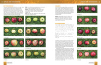 Cider Manual