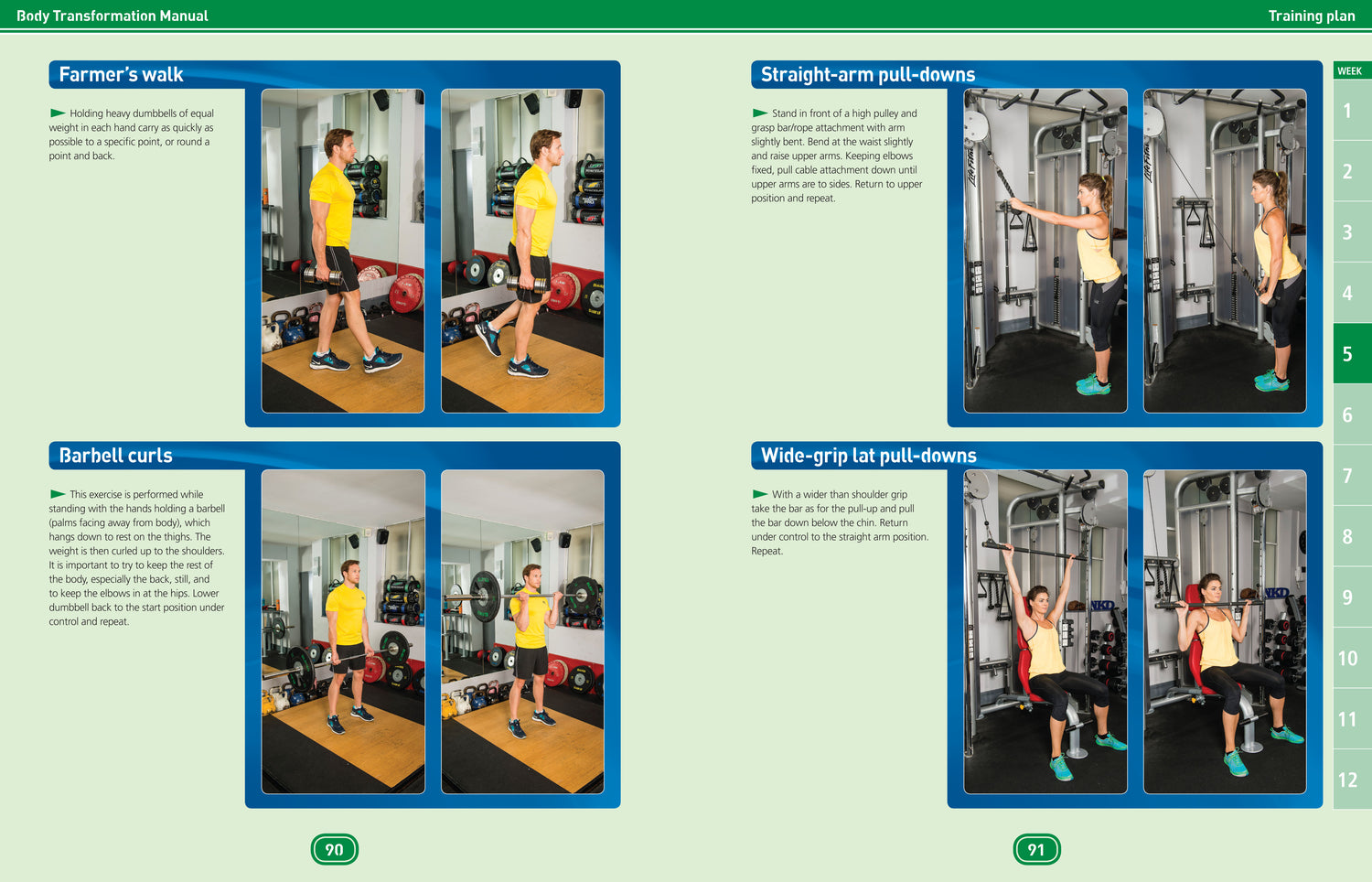 Body Transformation Manual