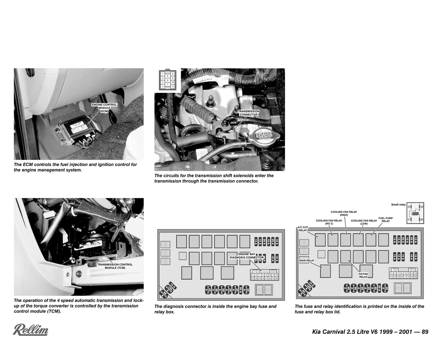 Rellim Wiring Diagrams Vol 5