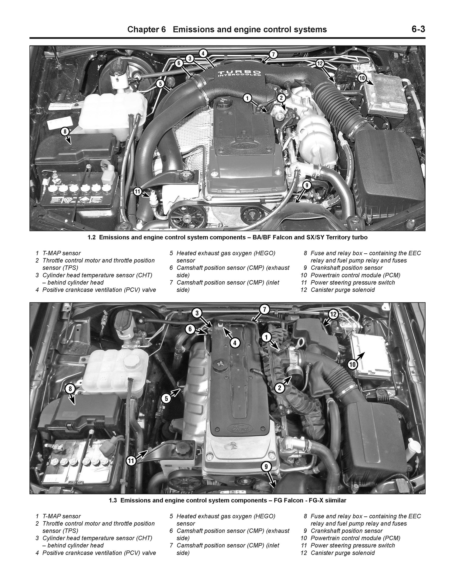 Ford Falcon (2002-2016) and Territory (2004-2016) Haynes Repair Manual