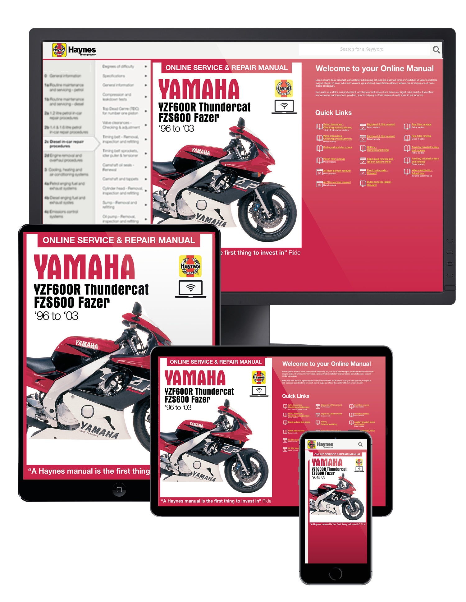Yamaha YZF600R Thundercat & FZS600 Fazer (96 - 03) Haynes Online Manual